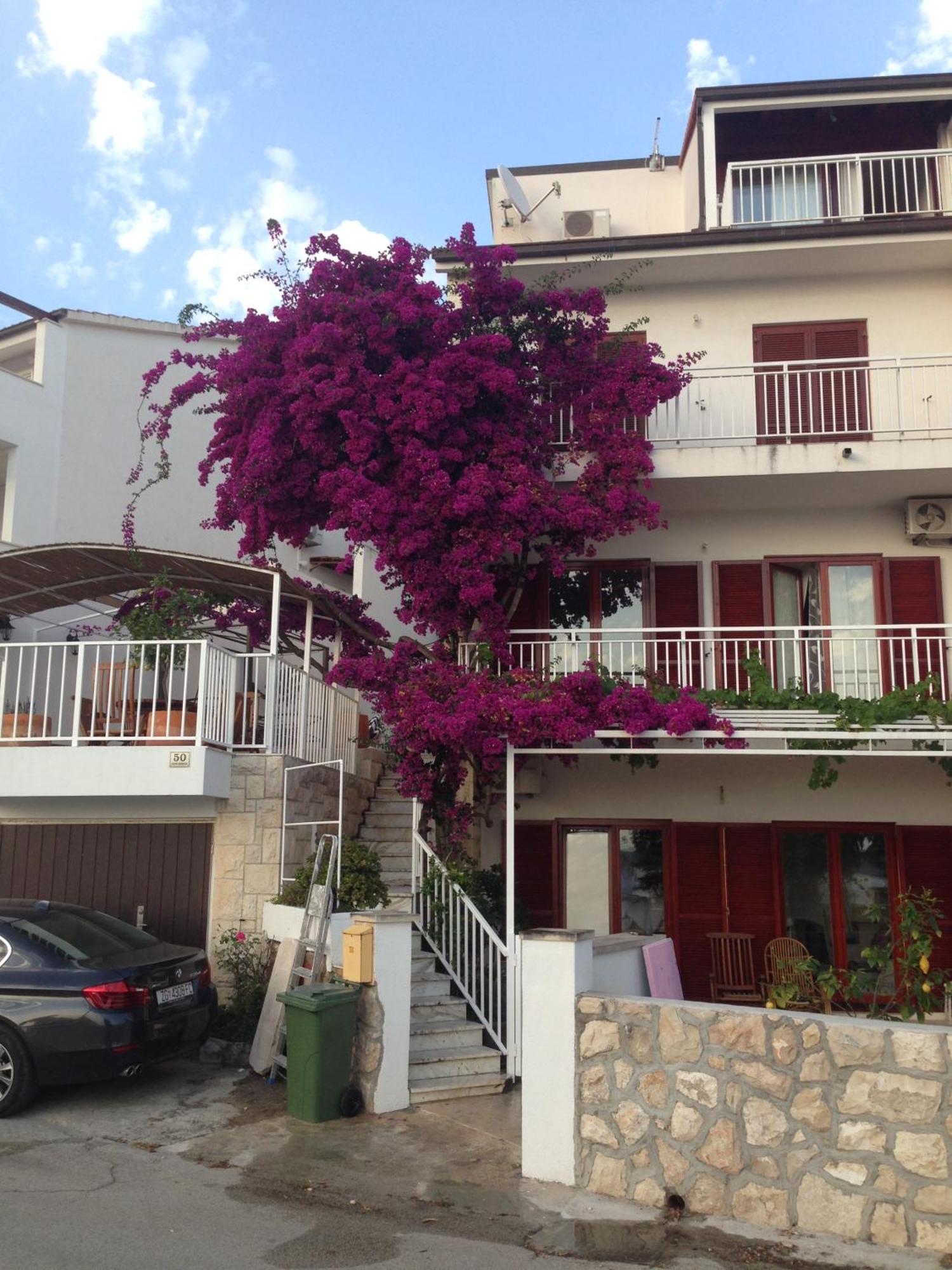 Apartment Duda 赫瓦尔 外观 照片
